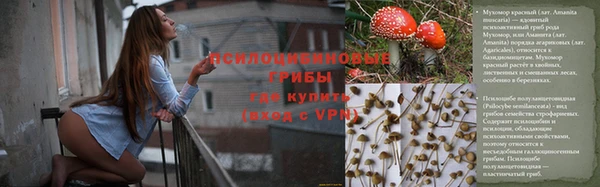 стаф Лагань