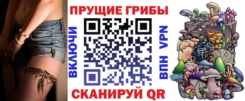 ссылка на мегу сайт  Закаменск  Галлюциногенные грибы GOLDEN TEACHER 